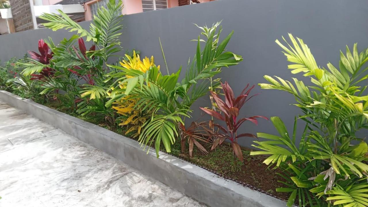 Appartement neuf a 150 metres de la mer wifi - Bed and Breakfast Le Diamant