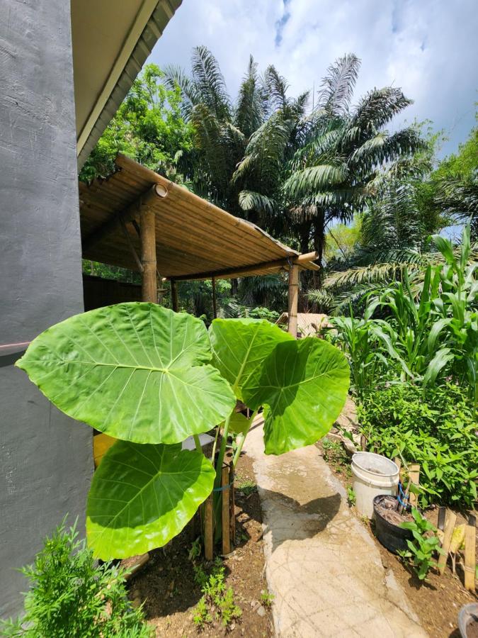 Habitación Doble Económica - 2 camas