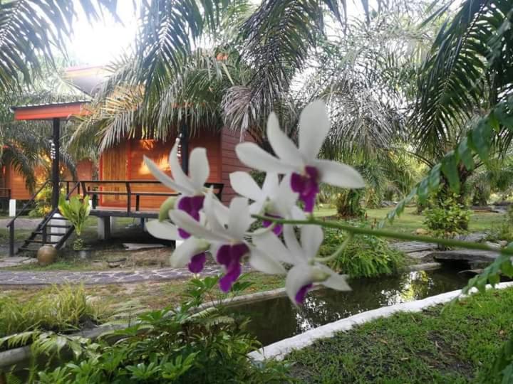 Queen Room with Garden View