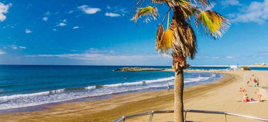 LA CASITA DEL SUR - Chambres d’hôtes Maspalomas
