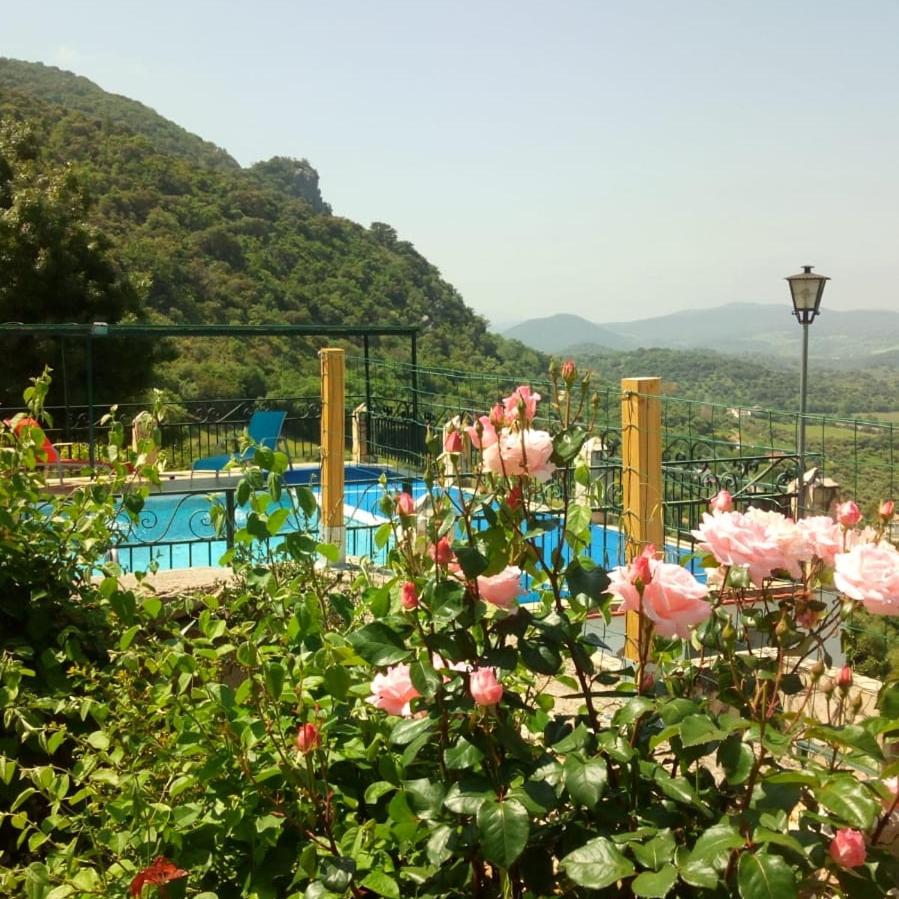 Las Cuevas de El Bosque - Ferienwohnung