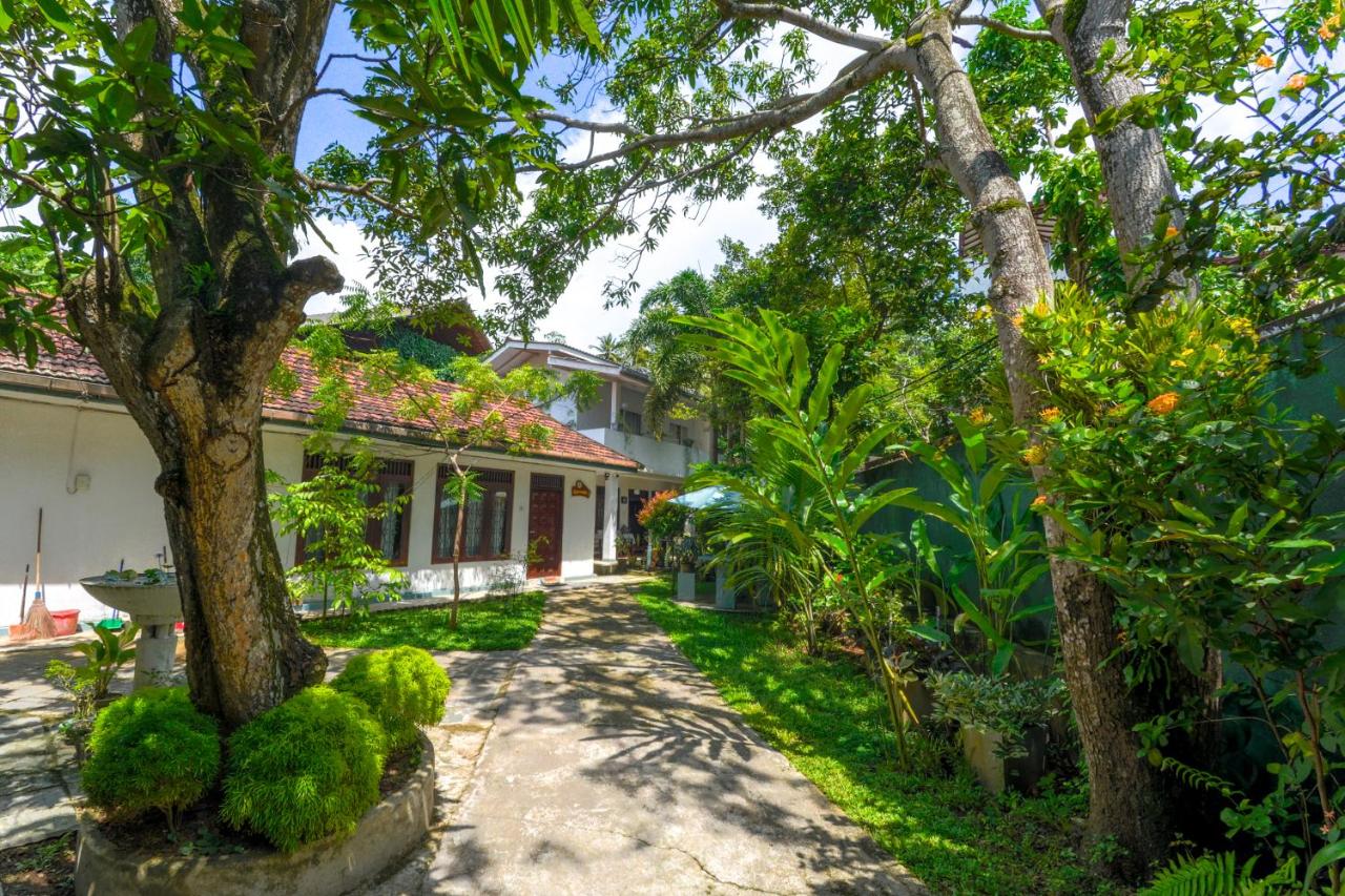 Palm Garden Guest House - B&B