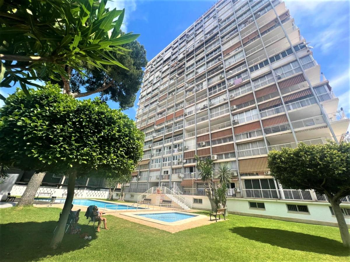 Albatros 13º - B&B Benidorm