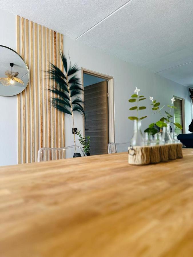 SAB Location - Appartement - B&B Ducos