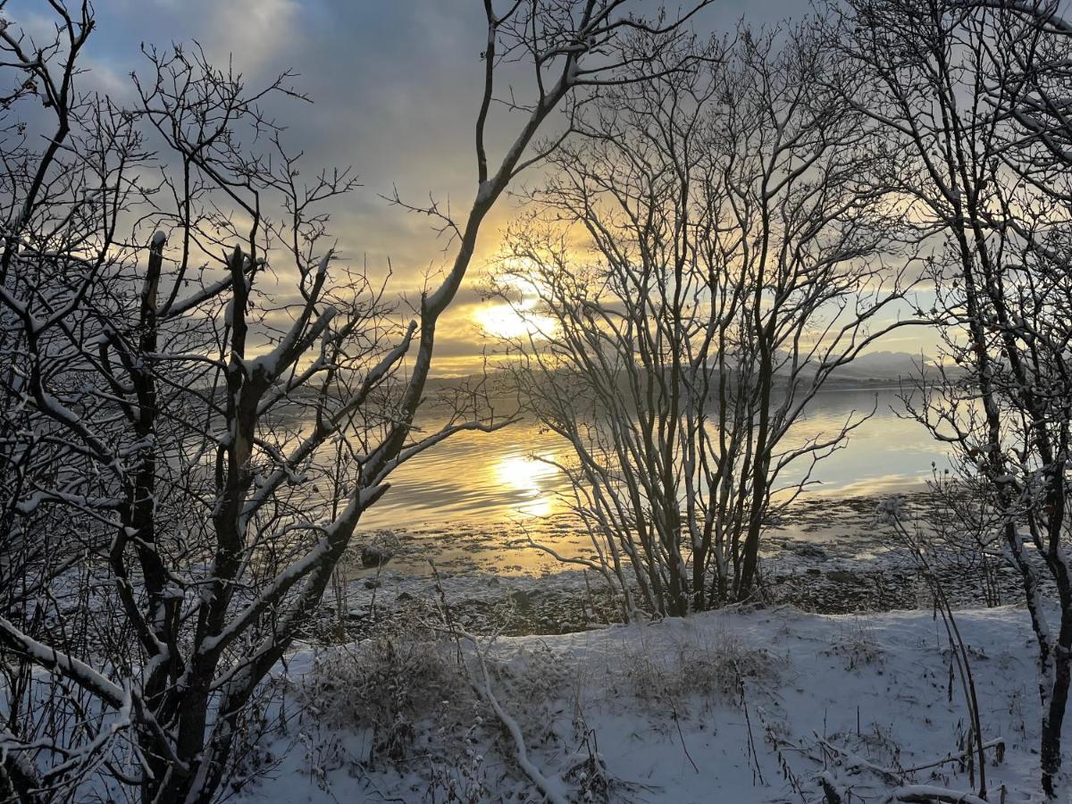 Modern apartment with carport near city and airport - Chambres d’hôtes Tromsø