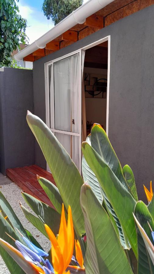 Hermoso Departamento En La Ciudad De Mendoza - B&B