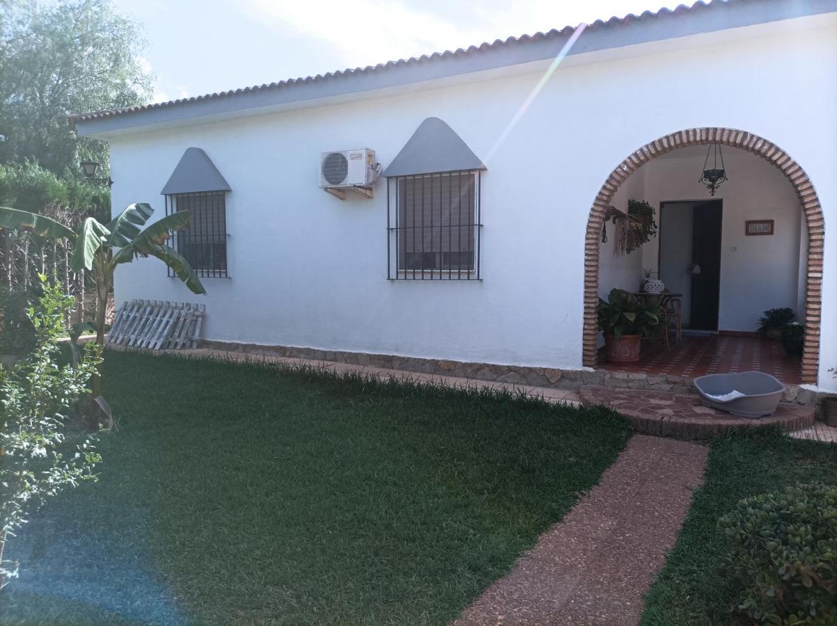 B&B Mairena del Alcor - Apartamento El Torreon - Bed and Breakfast Mairena del Alcor