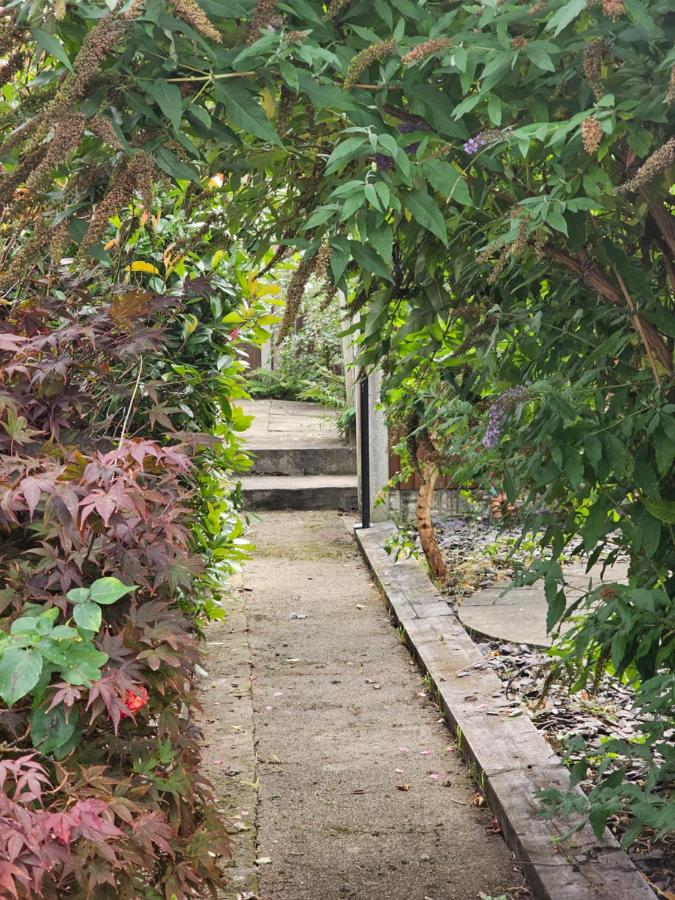 Fife House - Welcome Short Stays - B&B