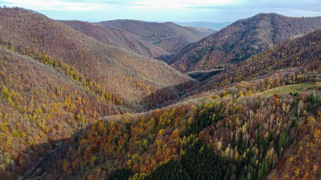 Cabana Luna - B&B Valea Ierii