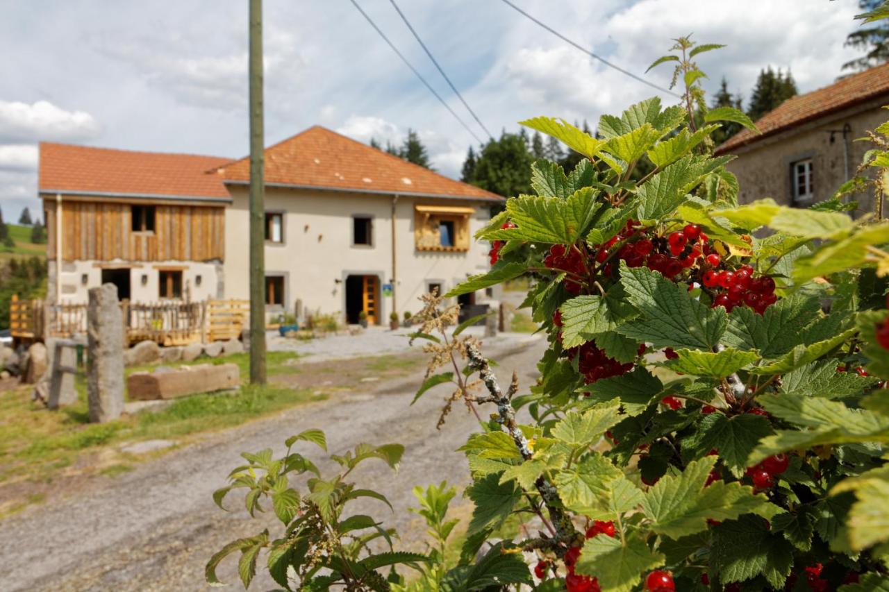 B&B Saulxures-sur-Moselotte - La Ferme de Jean entre lacs et montagnes - Bed and Breakfast Saulxures-sur-Moselotte