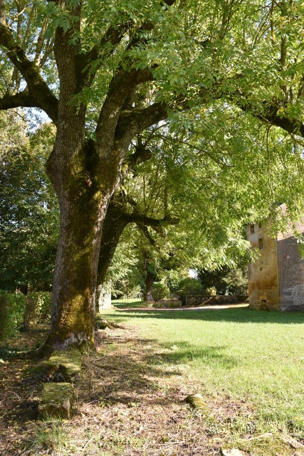 La Pépite - Ferienwohnung Margut