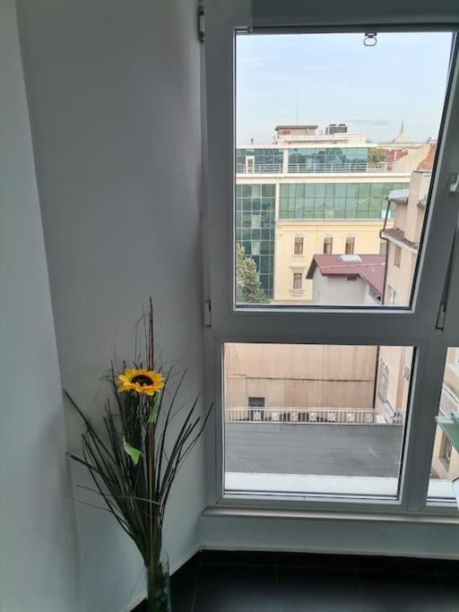 Sky-view apartmentin perfect city center Sofia - B&B