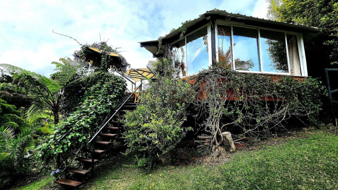 Cabaña Refugio de Ángeles - B&B