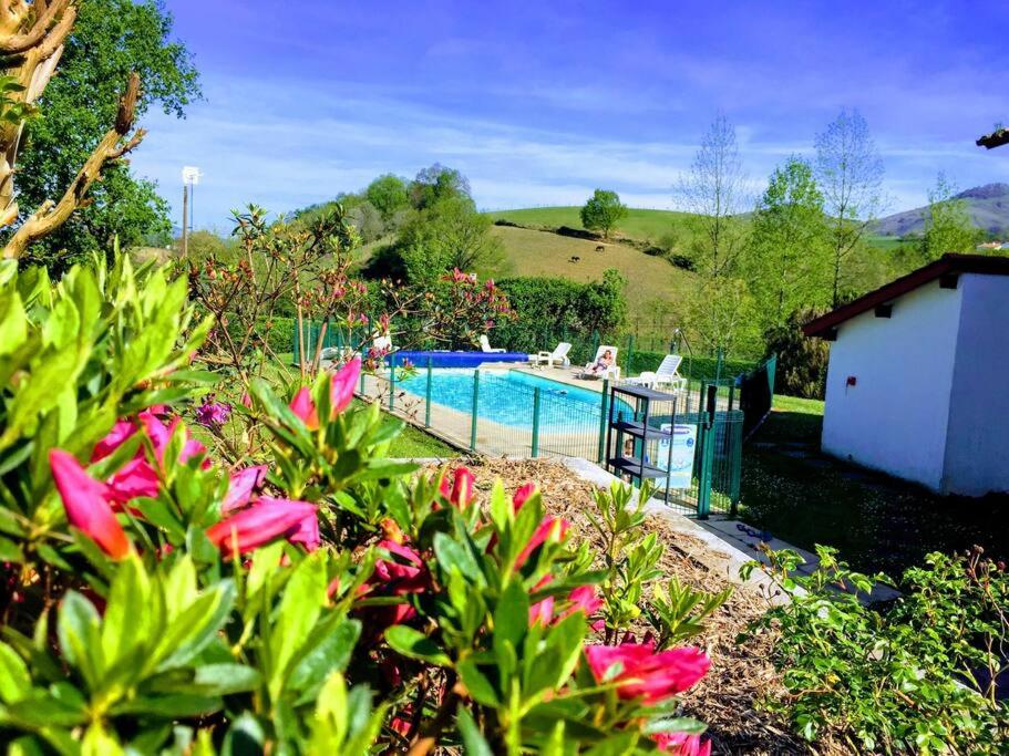 Entre mer et montagne - Bed and Breakfast Souraïde
