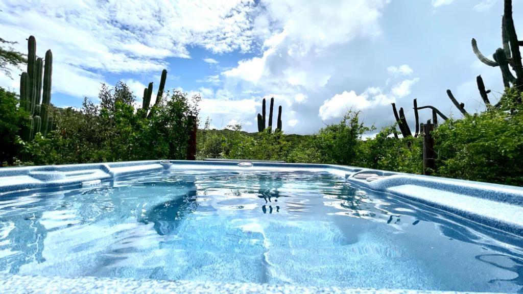 Very quiet apartment with lots of privacy and a tub on the edge of a national park! - Chambres d'hôtes Savaneta