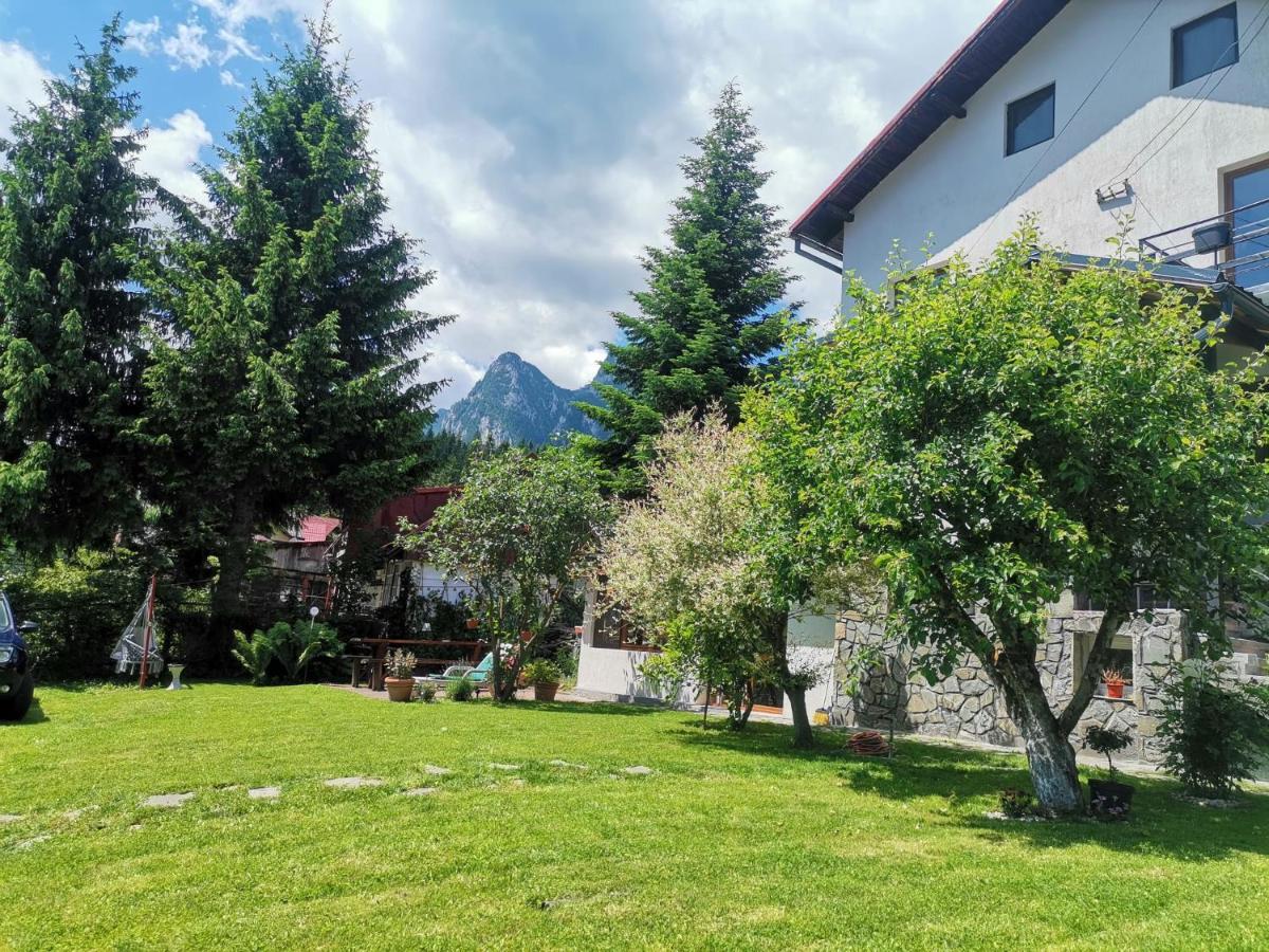 Zoso home - Chambres d’hôtes Buşteni