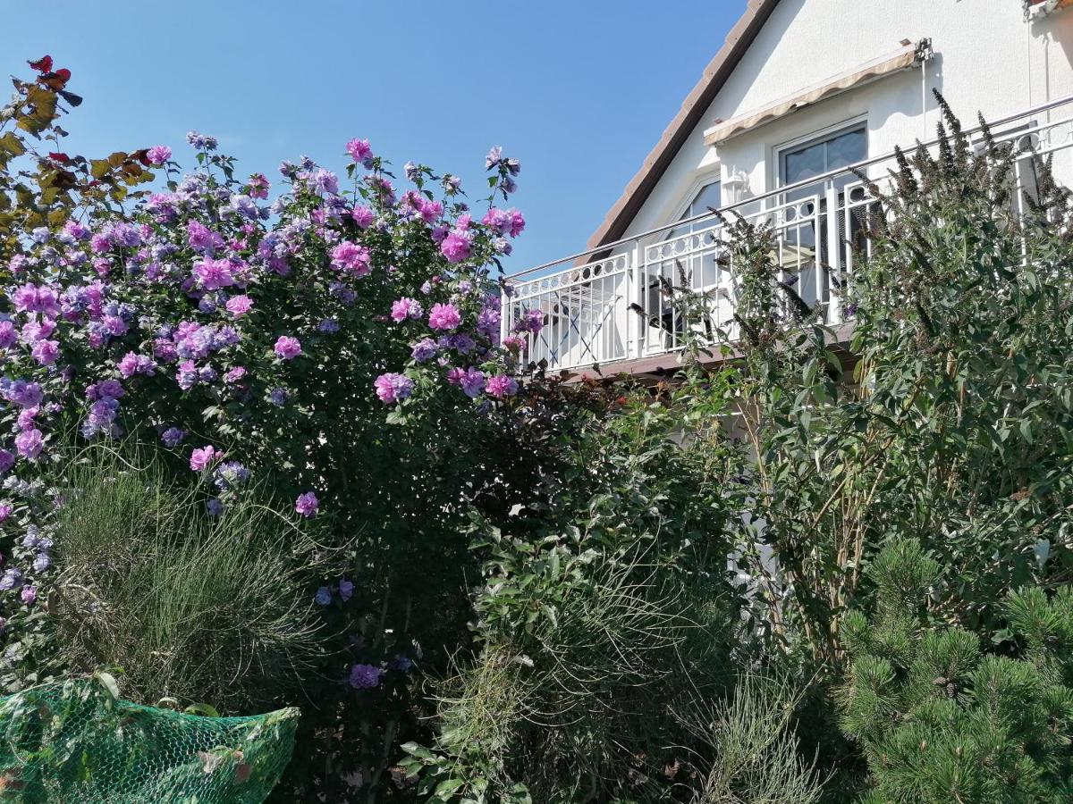 Pension Haus Anneliese - B&B