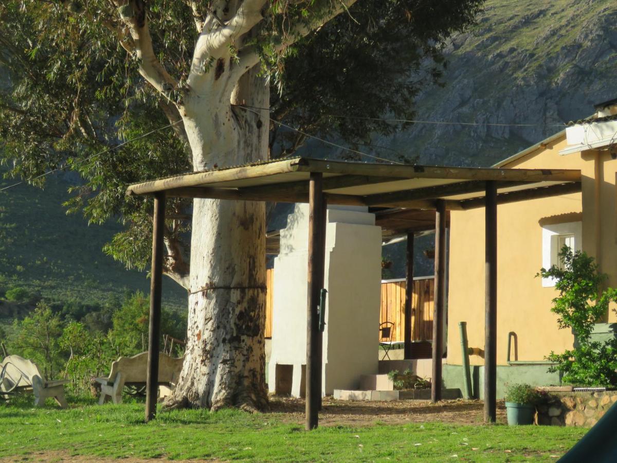 Swartberg Backpackers - B&B