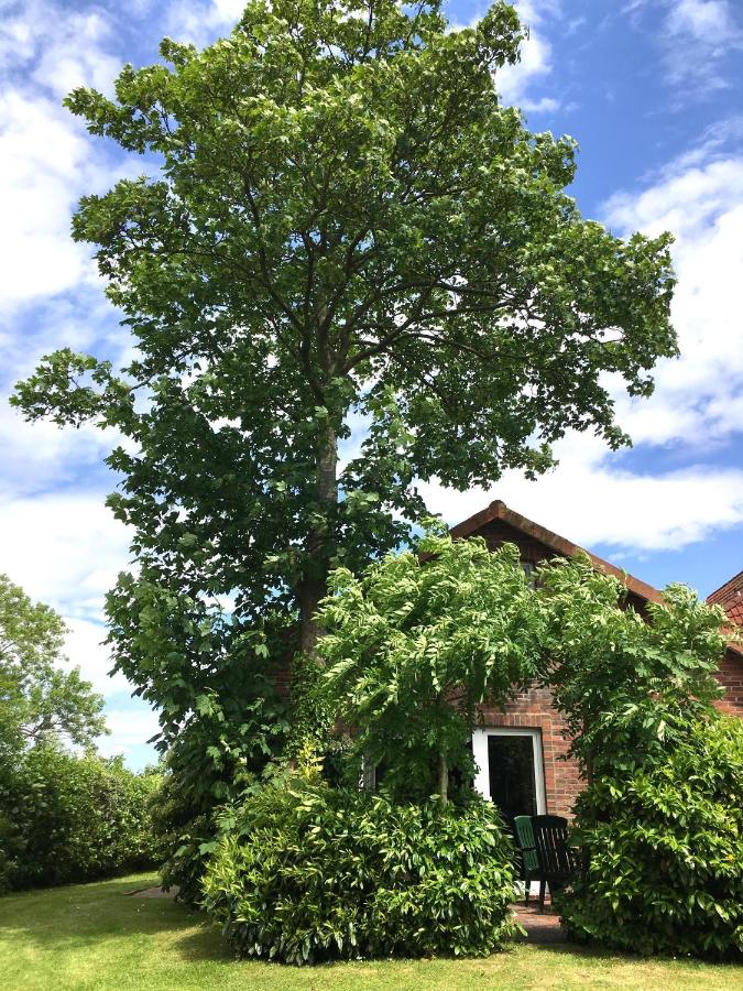 Ferienhaus Wiesenblick - B&B