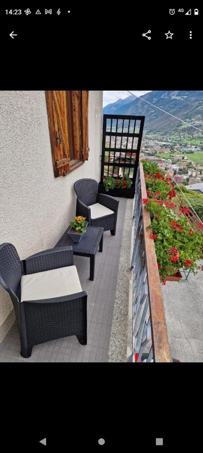 Mitcho De Mé CIR N 0111 - B&B