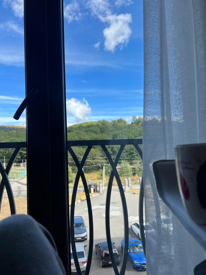 Alvina Tsaghkadzor - Bed and Breakfast Tsachkadzor