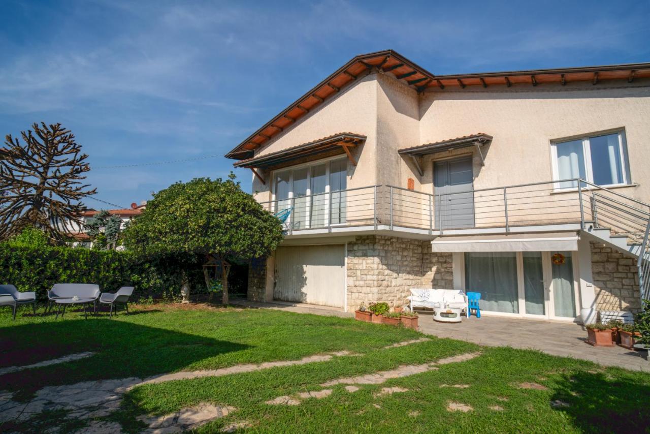 Helianthus - B&B