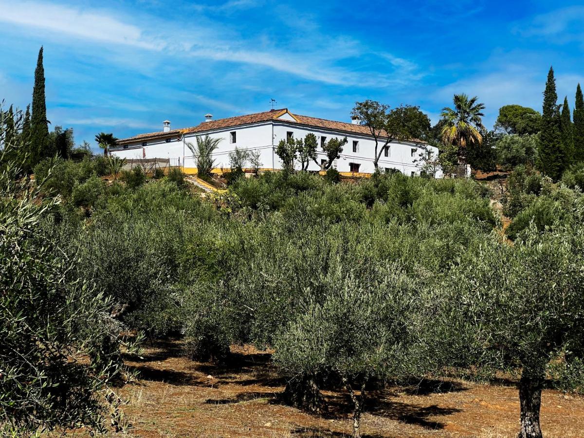 Isla Virgen - B&B Villaviciosa de Córdoba