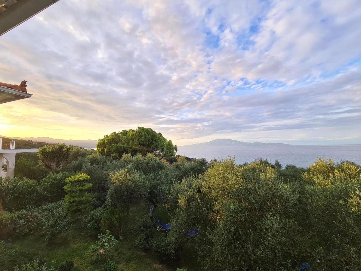 VILLA AGIA AIKATERINI - B&B Ammoudi