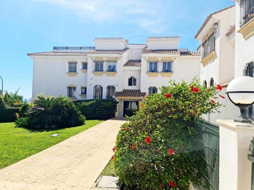 Blue jasmine - B&B Cala del Moral