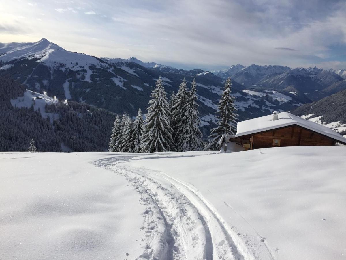 Apartment Haus Schönwies - Ferienwohnung Alpbach