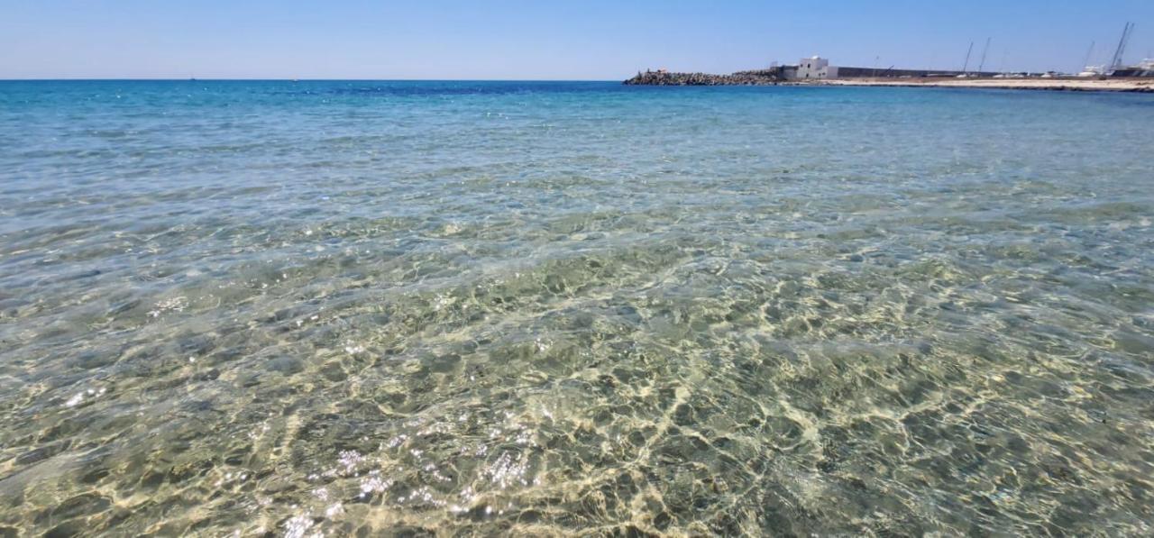 Appartement marina hammamet - B&B Hammamet
