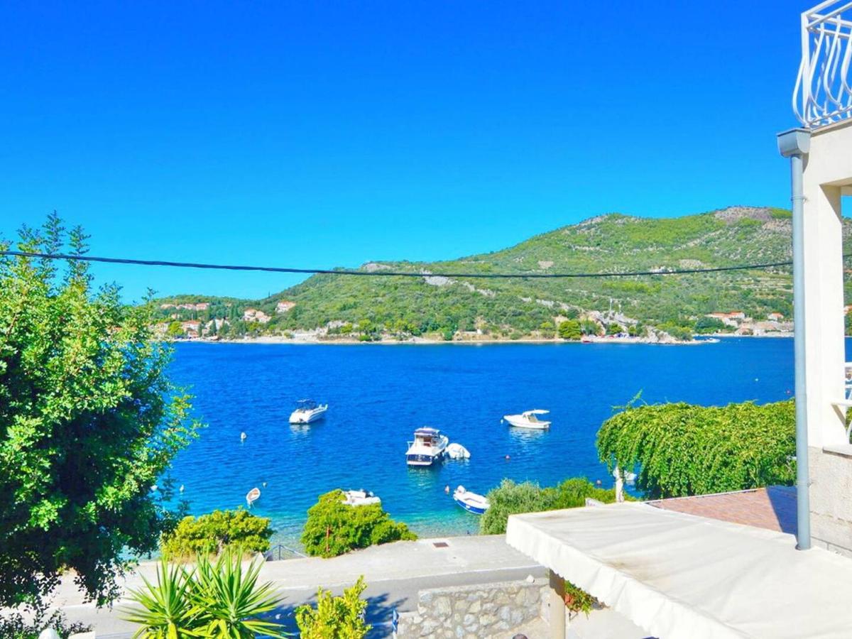 Violic Apartments - B&B Zaton