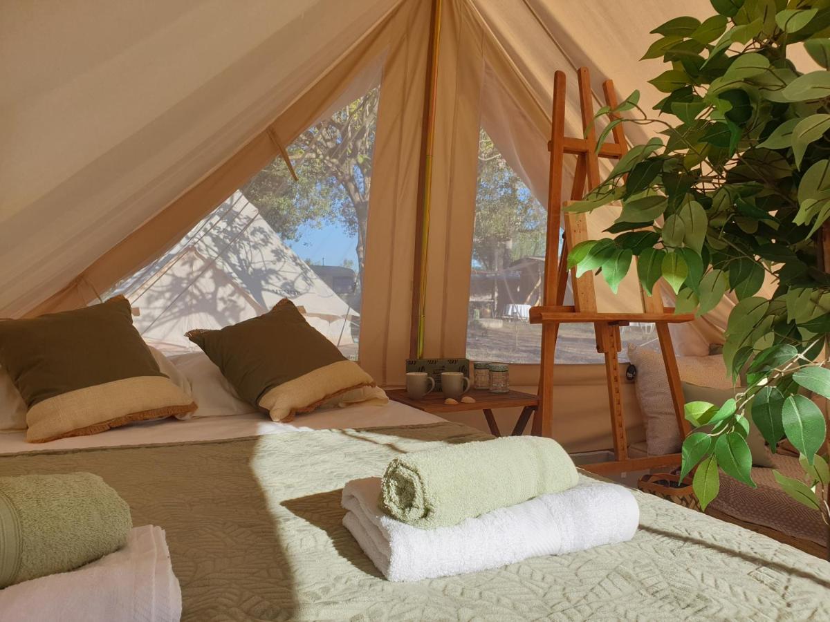 Tent (3 Volwassenen)