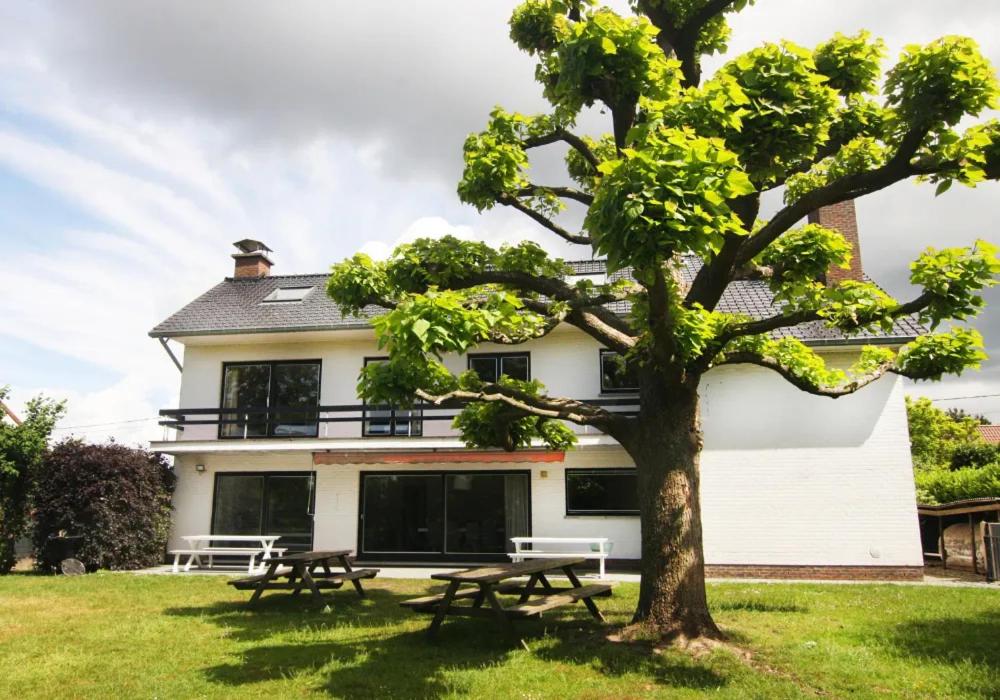 B&B Oudenaarde - Vakantiewoning La Cereza - Bed and Breakfast Oudenaarde