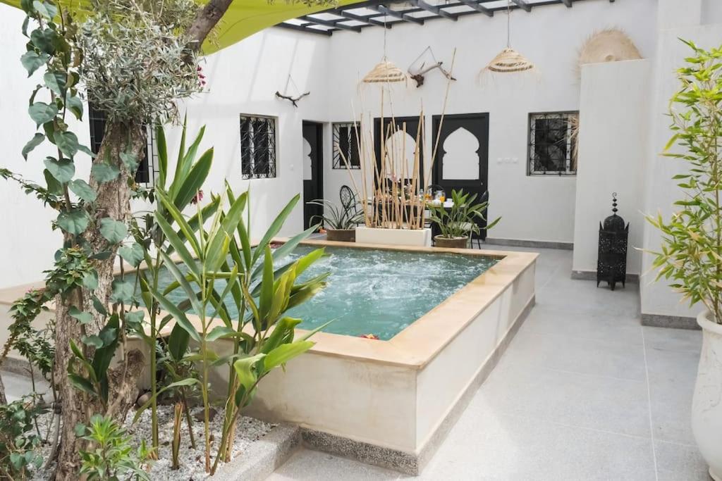 B&B Marrakech - Private Villa halal 2 rooms swimming pool not overlooked - Bed and Breakfast Marrakech