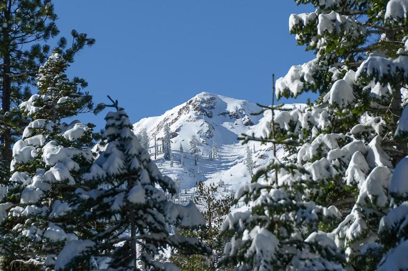 Big John at Alpine Meadows by Tahoe Getaways - Mountain Views, Cozy Fireplace, Shuttle to Slopes! - B&B