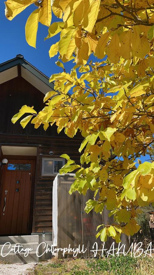 Cottage Chlorophyll Hakuba - Chambres d’hôtes Hakuba