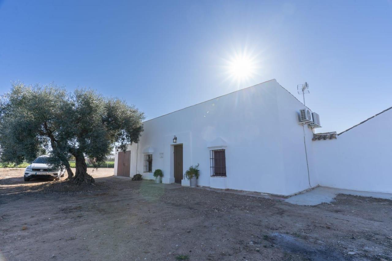 EL NOGAL - B&B