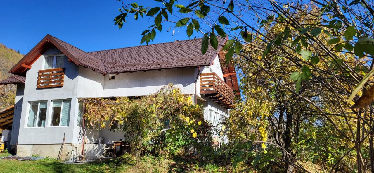 Casa Berbece - B&B Moieciu de Jos