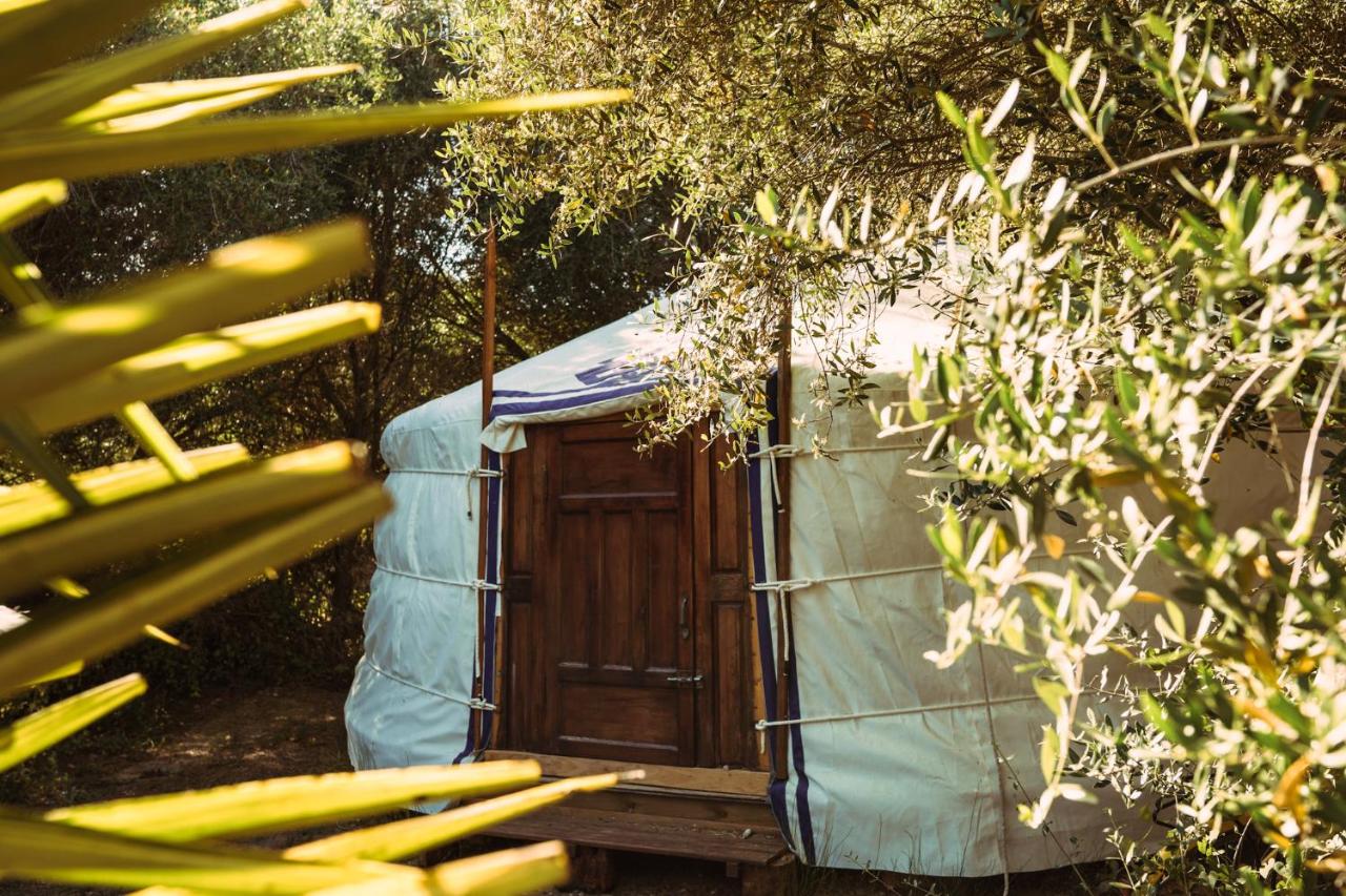 Tent (Mojama)