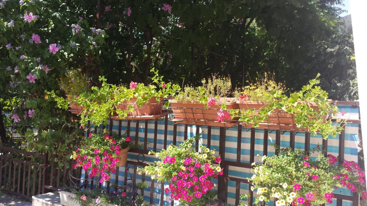 Apartamento con terraza
