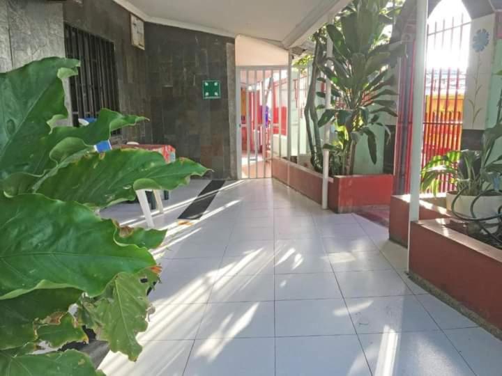 posada nativa el olivo - B&B