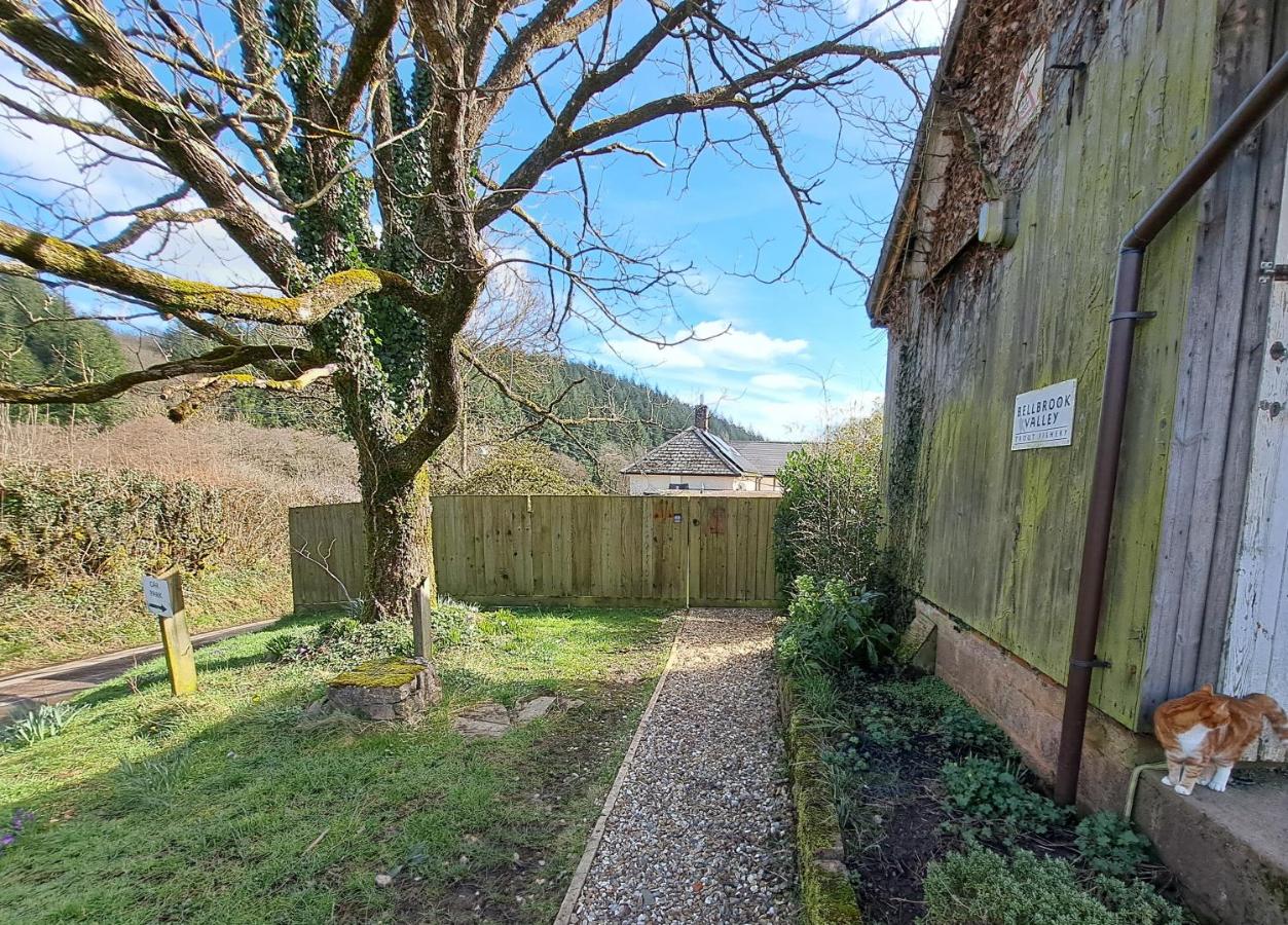 The Holt - a cosy bolthole on a wildlife reserve with hot tub -Exmoor 7m - B&B