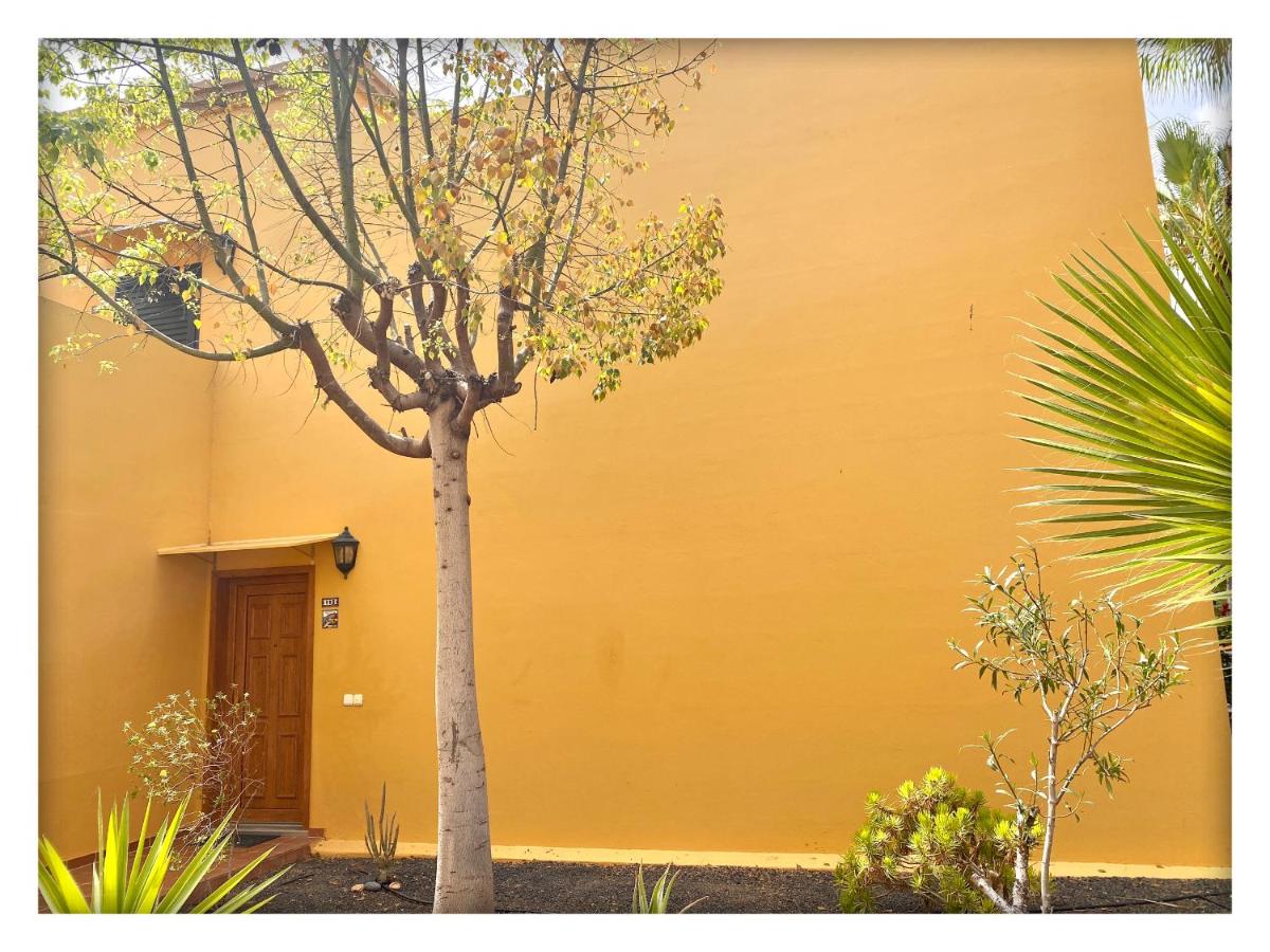 Tamarindo Pura Vida - Relax y Vistas al Mar - Ferienwohnung Corralejo