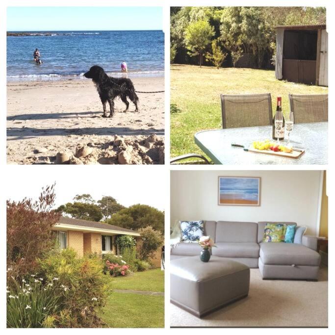 B&B Wonthaggi - Garden Cottage, Dog Friendly. Wonthaggi. - Bed and Breakfast Wonthaggi