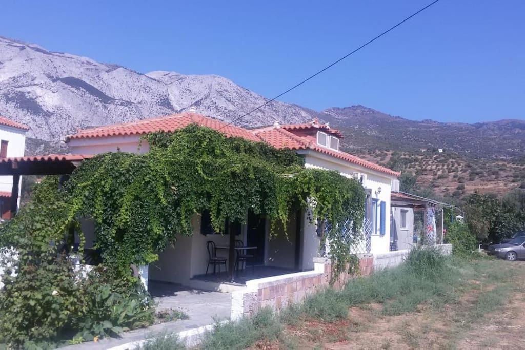 A CASA D'IRENE - B&B Votsalákia