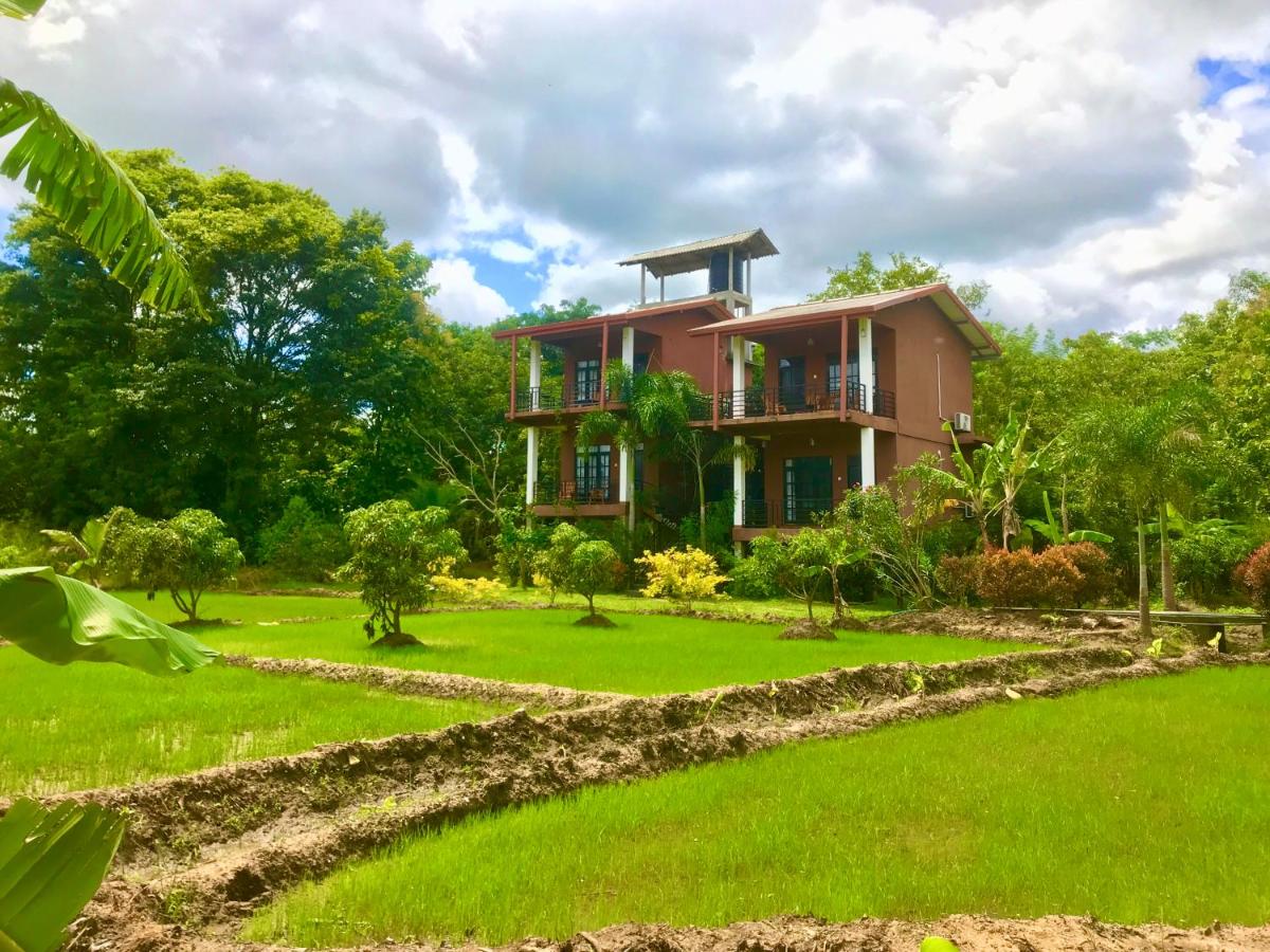 Darshani Lodge - Bed and Breakfast Sigiriya