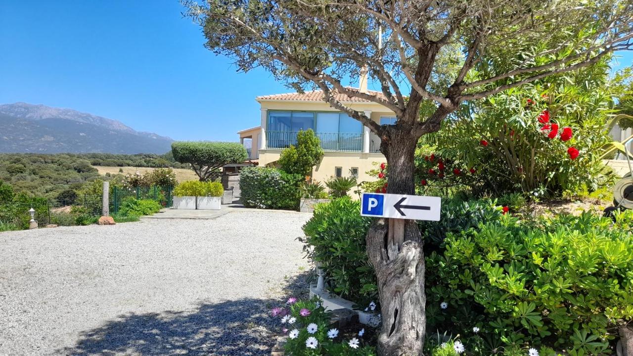 Apartment with Sea View and Garden