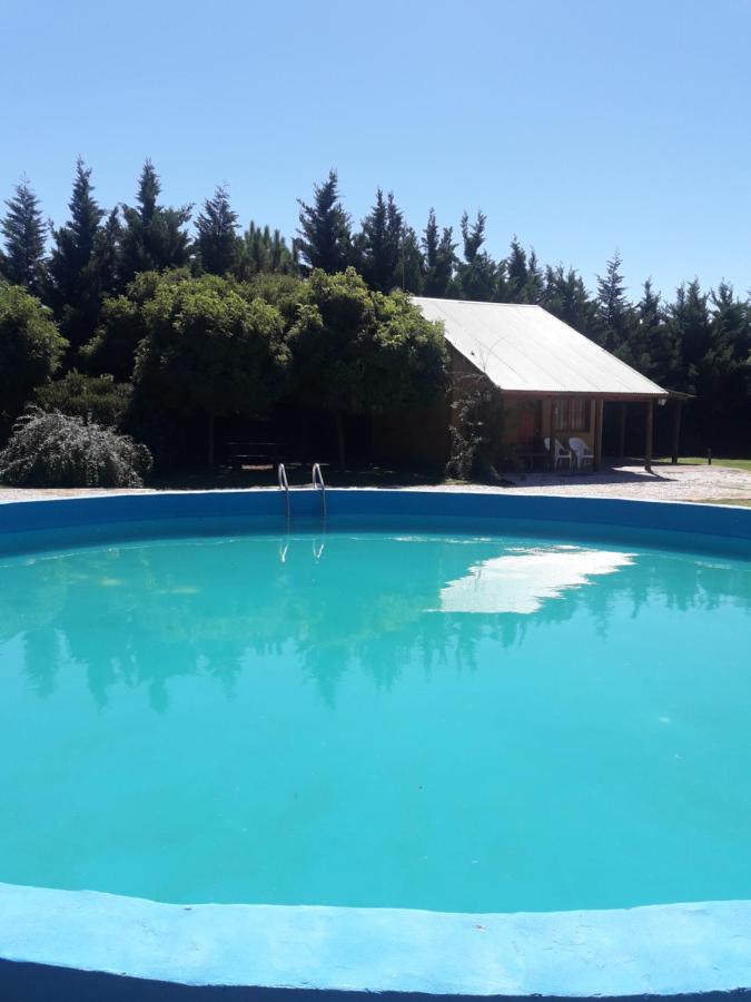Cabañas Las Moras - B&B