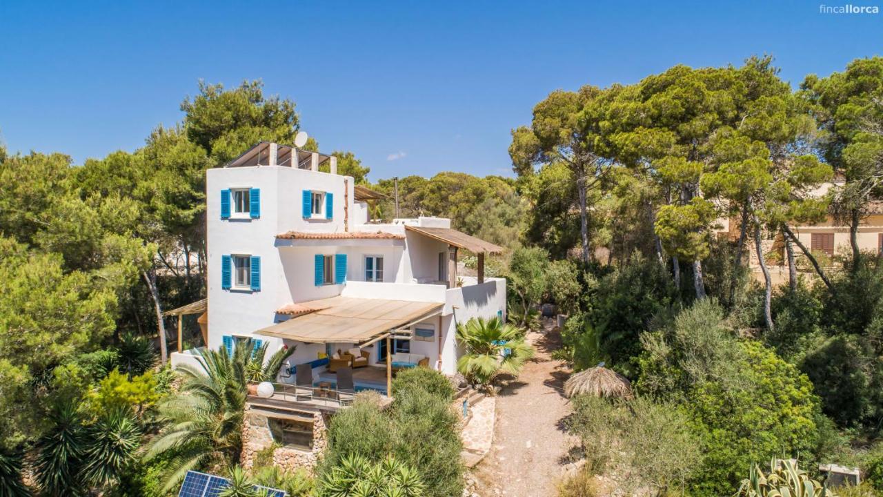 Casa Bamboo - B&B Cala Figuera